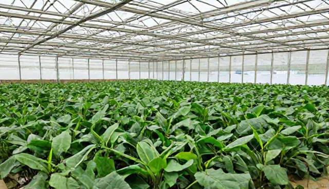 机电安装技术支持：工程改造中的性能与适用条件分析